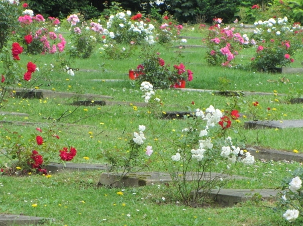 Gräber - Friedhof der Niederländisch-reformierten Gemeinde Wuppertal