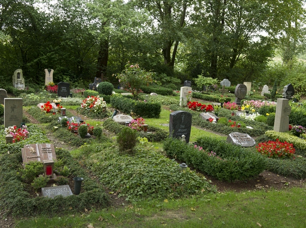 Reihengräber - Friedhof Hohe Ward Münster