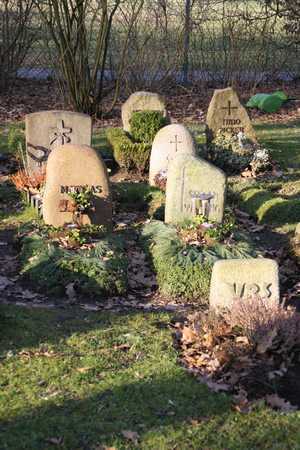 Grabstätten - Friedhof Hohe Ward Münster