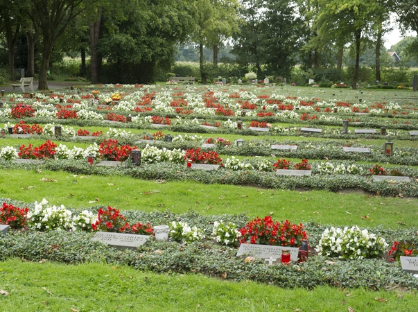 Schwesternfeld - Friedhof Hohe Ward Münster