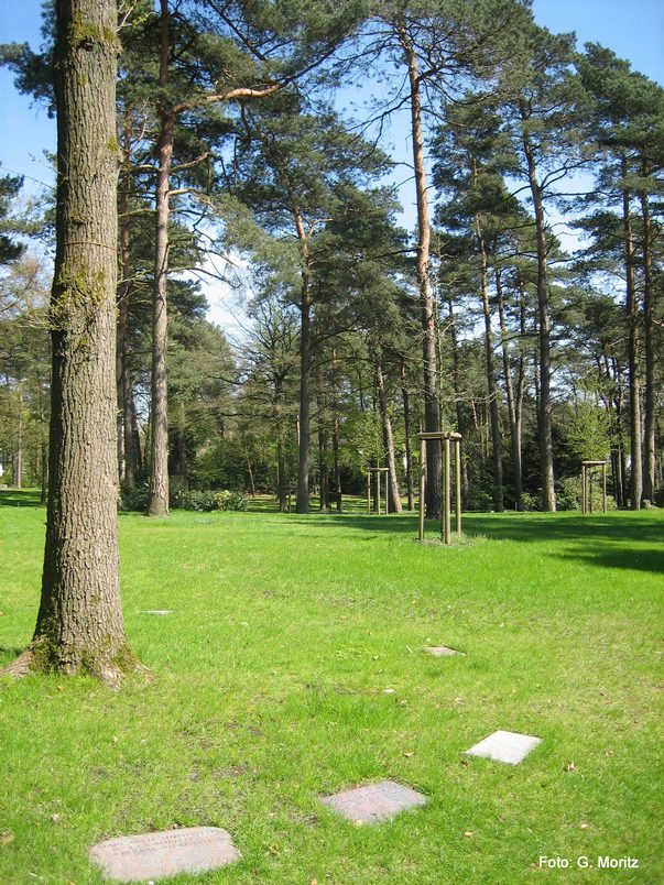 Baumgrgrabstätten - Sennefriedhof Bielefeld