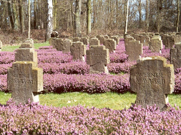 Ehrenfriedhof mit blühender Heide - Waldfriedhof Lauheide in Münster