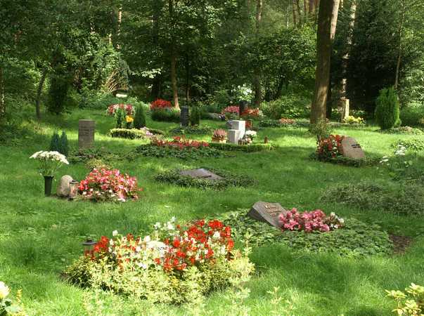Urnenwahlgrab - Waldfriedhof Lauheide in Münster