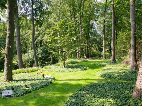 Pflegeleichte Gräber - Waldfriedhof in Wentorf