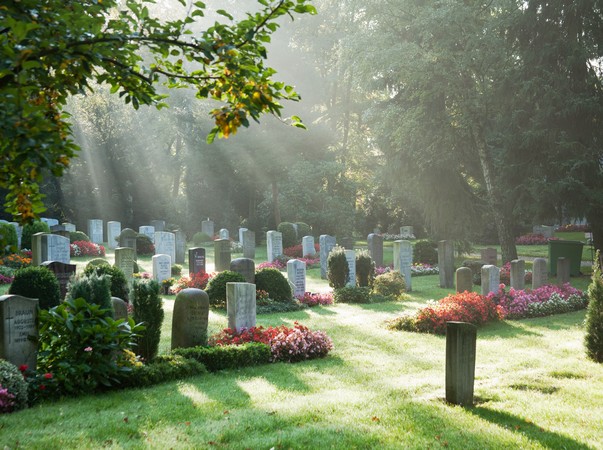 Blick über den Friedhof - Waldfriedhof in Wentorf