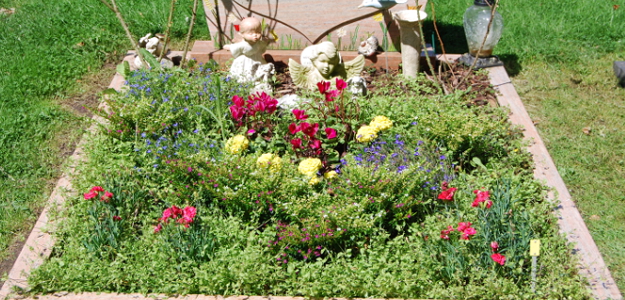 Grabbepflanzung mit Bodendeckern und einzelnen Blumen