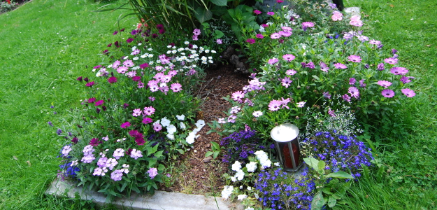 Grabbepflanzung mit farblich abgestimmten Blumen