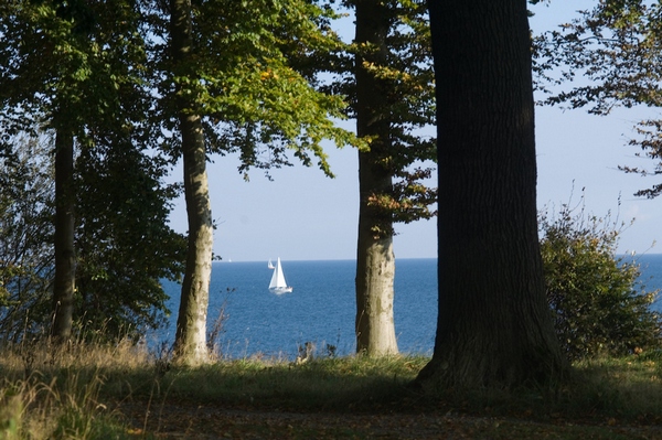 RuheForst Ostseeküste / Brodau - Blick auf die Ostsee
