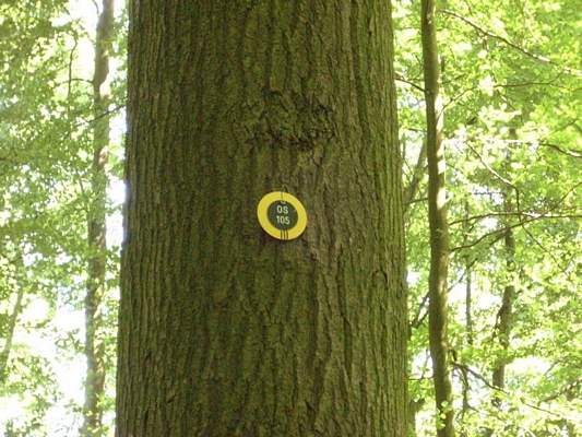 RuheForst Ostseeküste / Brodau - Kennzeichnung am Gemeinschaftsbaum